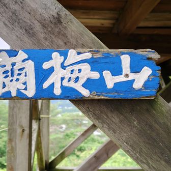 展望台に付けられた山名板、展望台は閉鎖されていて登れませんでした😆