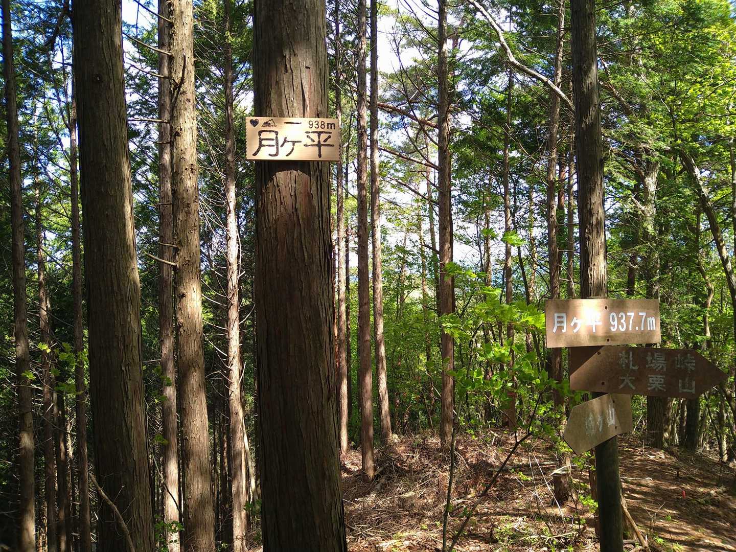 月ヶ平
景色の無い丘かな。