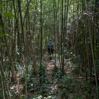 下山します🚶🚶🫱