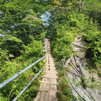 塔ノ岳からの大倉尾根途中の橋