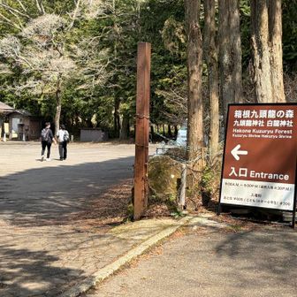 行きたかったけど…