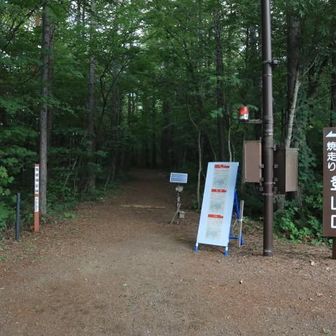焼走り登山口