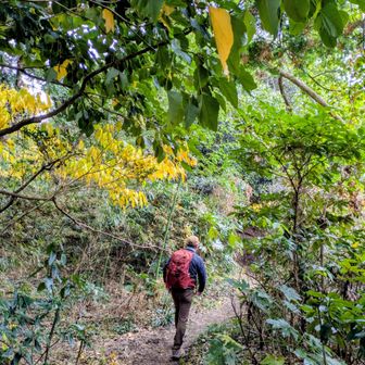 またすぐに山道