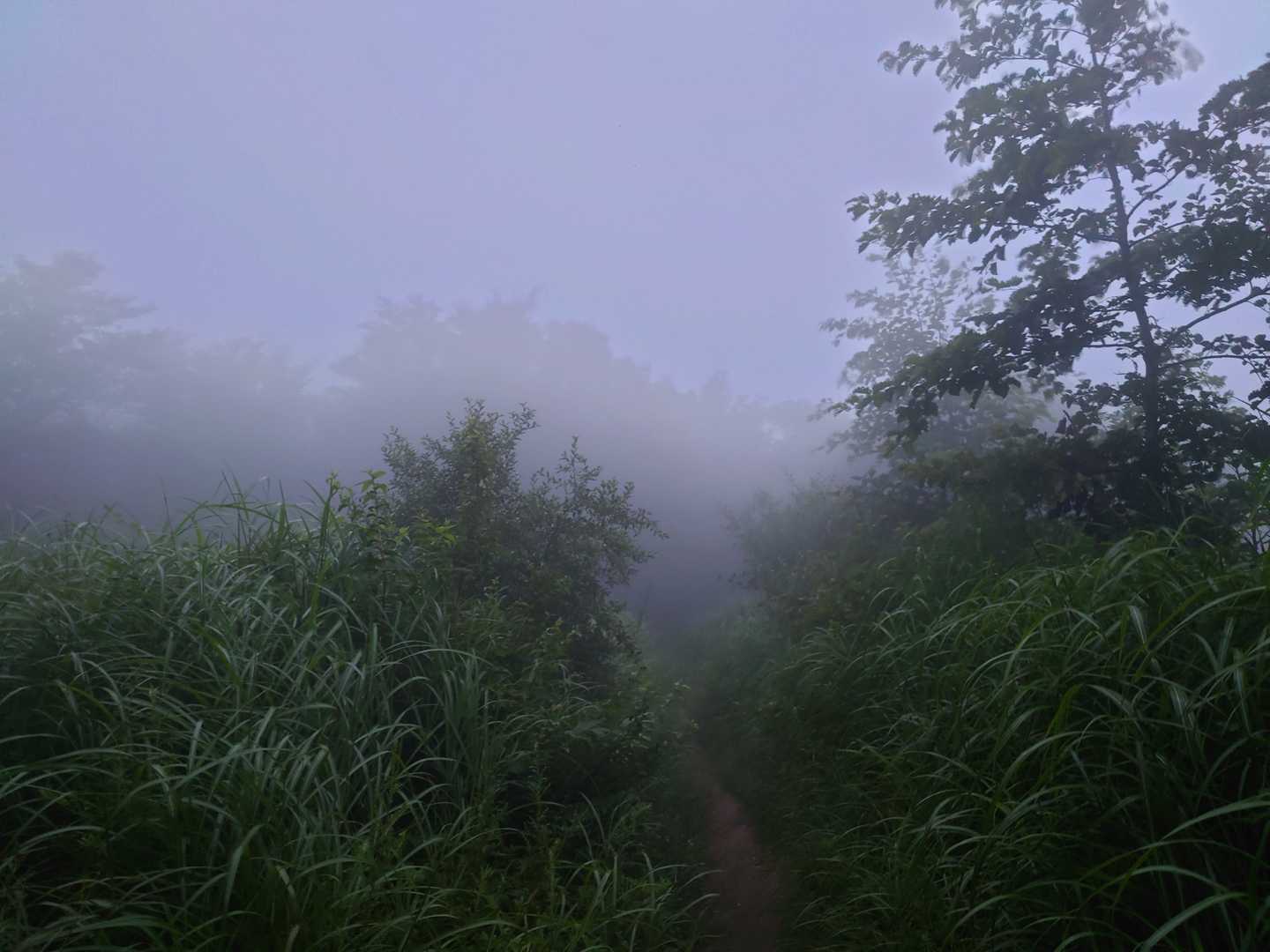 霧がかる大日岳🙂。