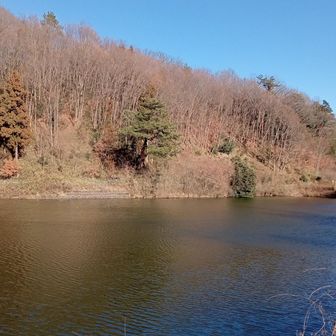 帰りは大正池〜無事に下山となりました🦆