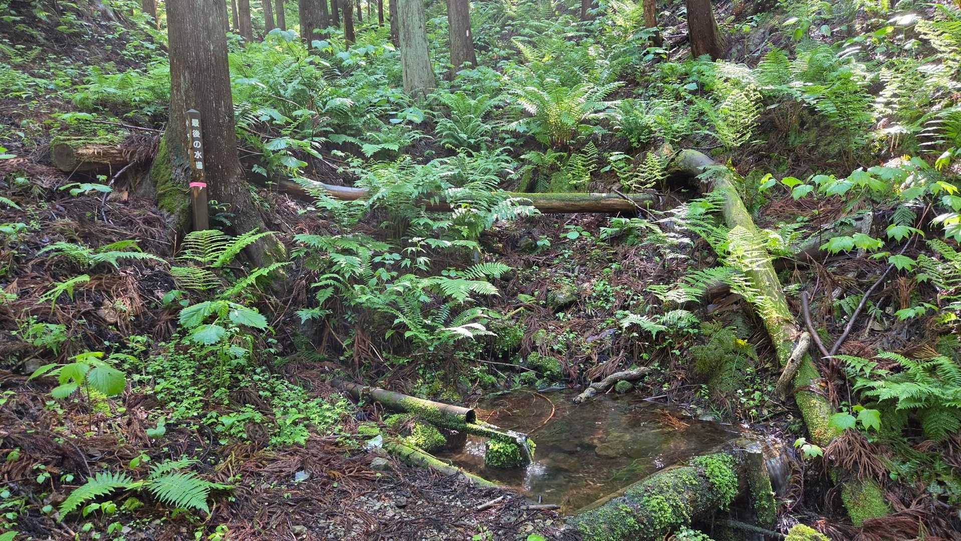 最後の水場
えっ！
始まったばかりなのに最後かい～🤣
水はきれいです…