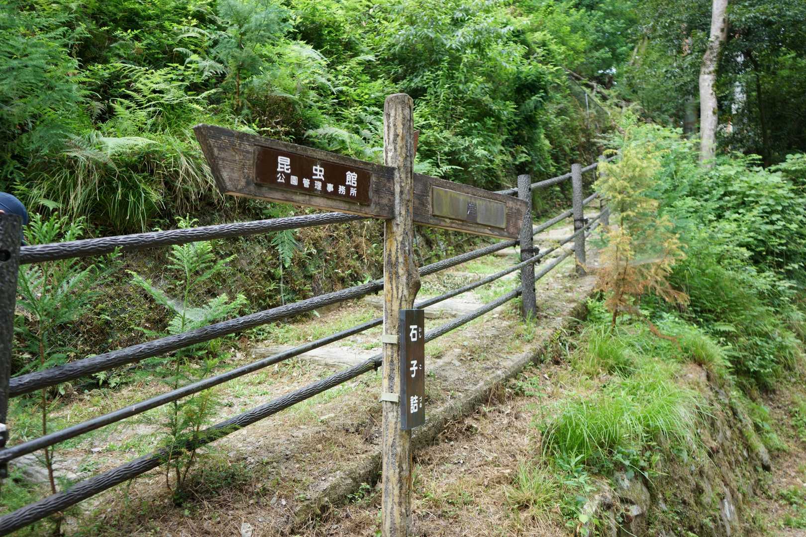 石子詰登山口-阪急　箕面駅 周回コースの写真