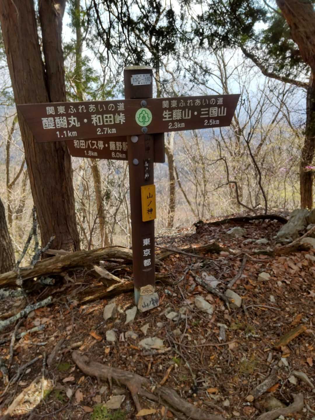 さらに戻って　ここの分岐から和田バス停へ降りました。