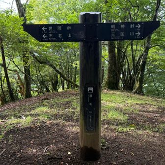 湯船山