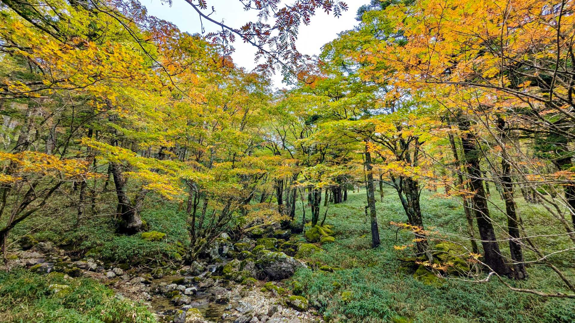 曇るとまた違った趣に。