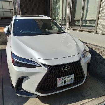 しげ