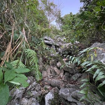 山頂まで短いけど、急峻