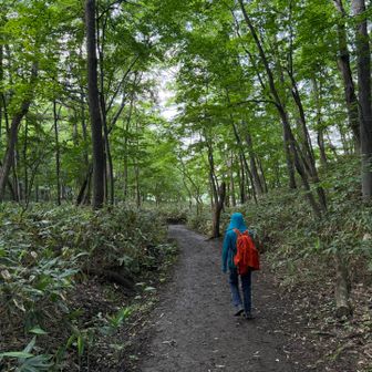 登山口が見えて来ました。300回、無事終了です。また新たな100回を地道に登り始めたいと思います😁。