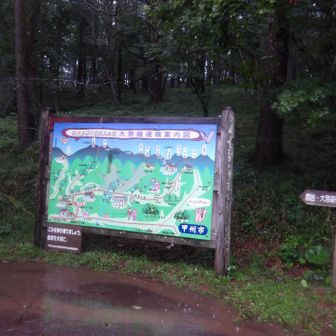 唐松尾根と表登山道の分岐まで戻ってきた