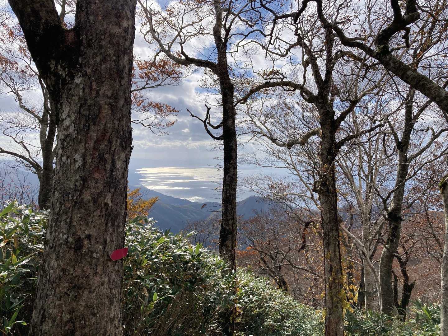 　　　　高度を上げ。。海が見える🤩
