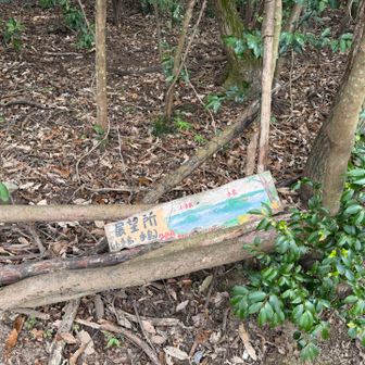 小手島、手島展望所。