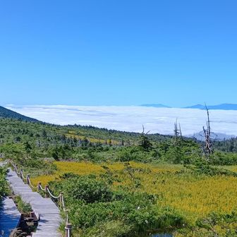青空　雲海　キンコウカ