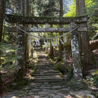 山は終了
あとは駐車場まで一気に帰りましょう