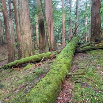 何やら奥にテントが⛺️いっぱい
