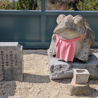若かえる🐸
ぜひ〜🩷