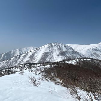 水引と奥に不忘