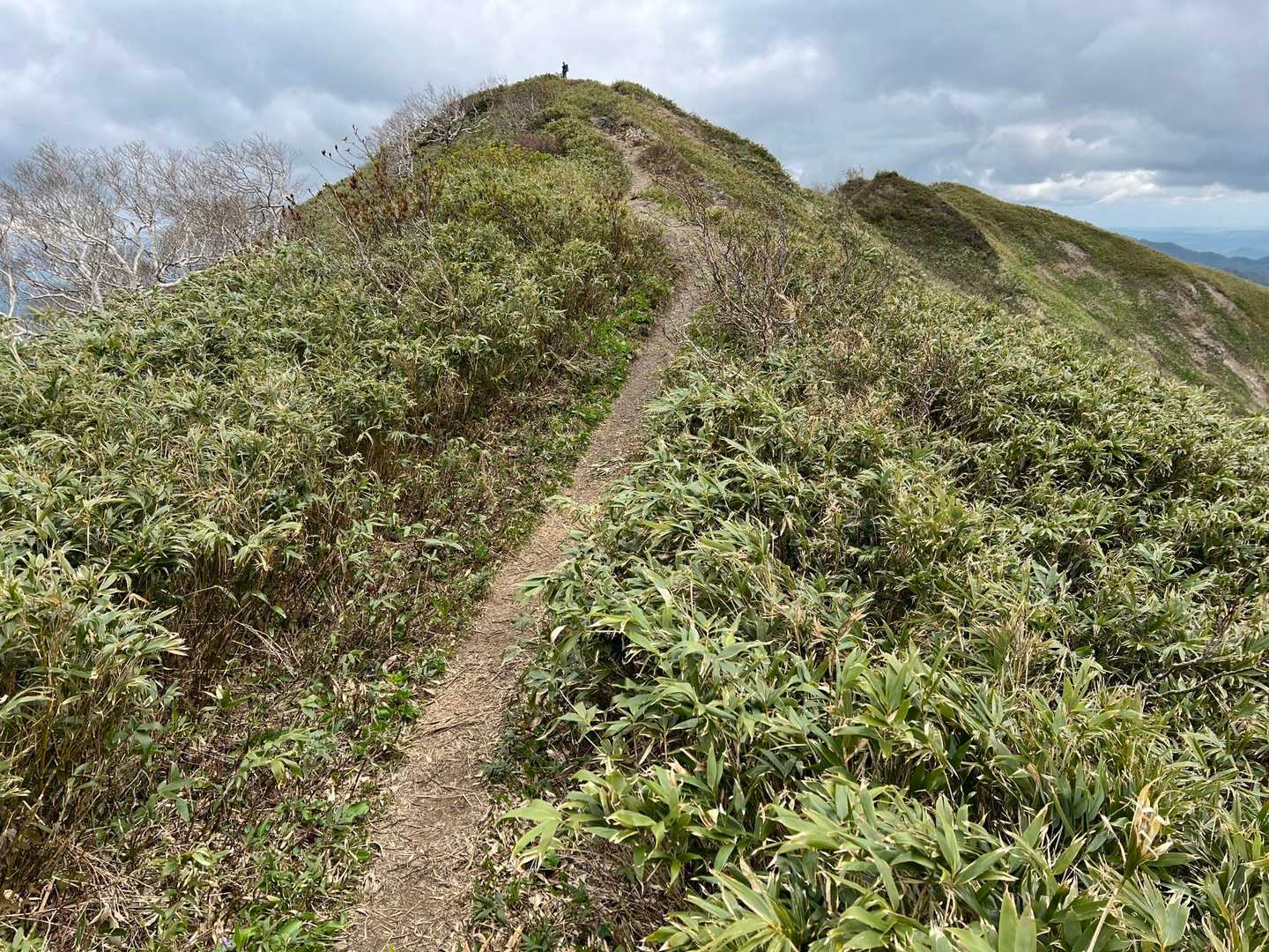 お花に見惚れている間に🥸、山頂に立つ！