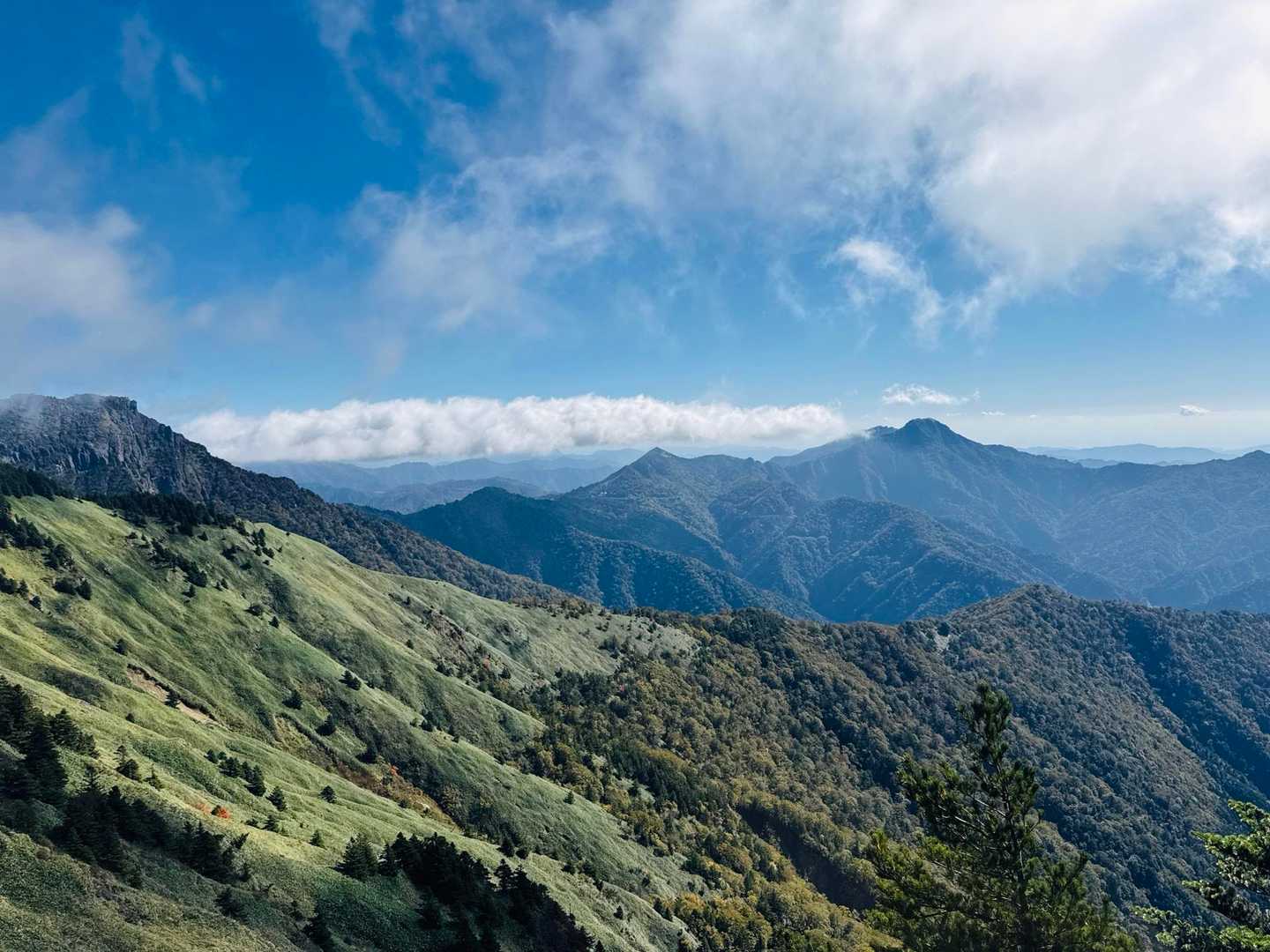 保井野登山口-堂ヶ森-二ノ森-天狗岳 周回コースの写真