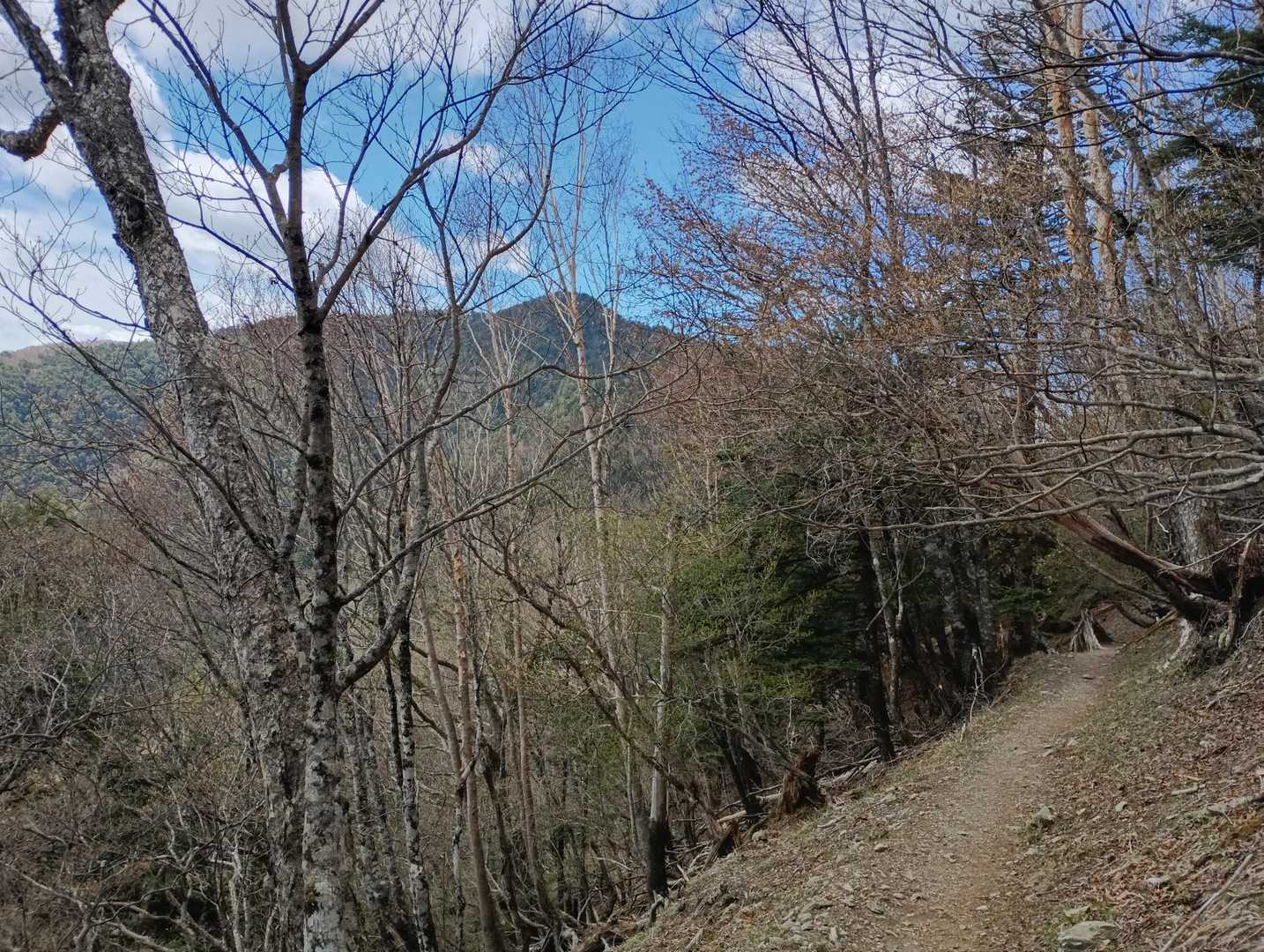 ようやく遠くに雲取山が