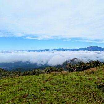 モフモフのコケと雲海とブルーを堪能して
もうお腹いっぱい