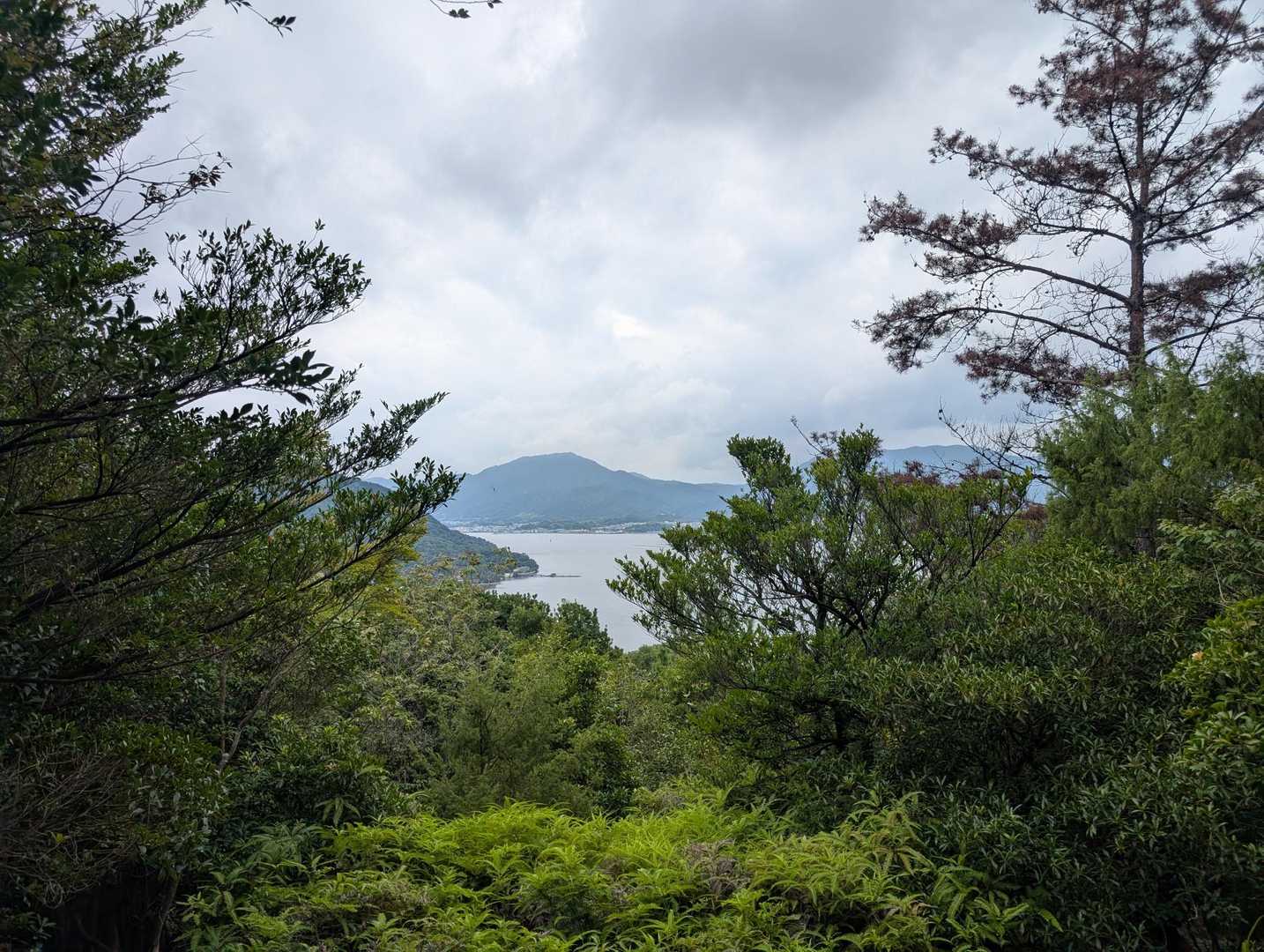 すでに暑さで汗がすごいことに