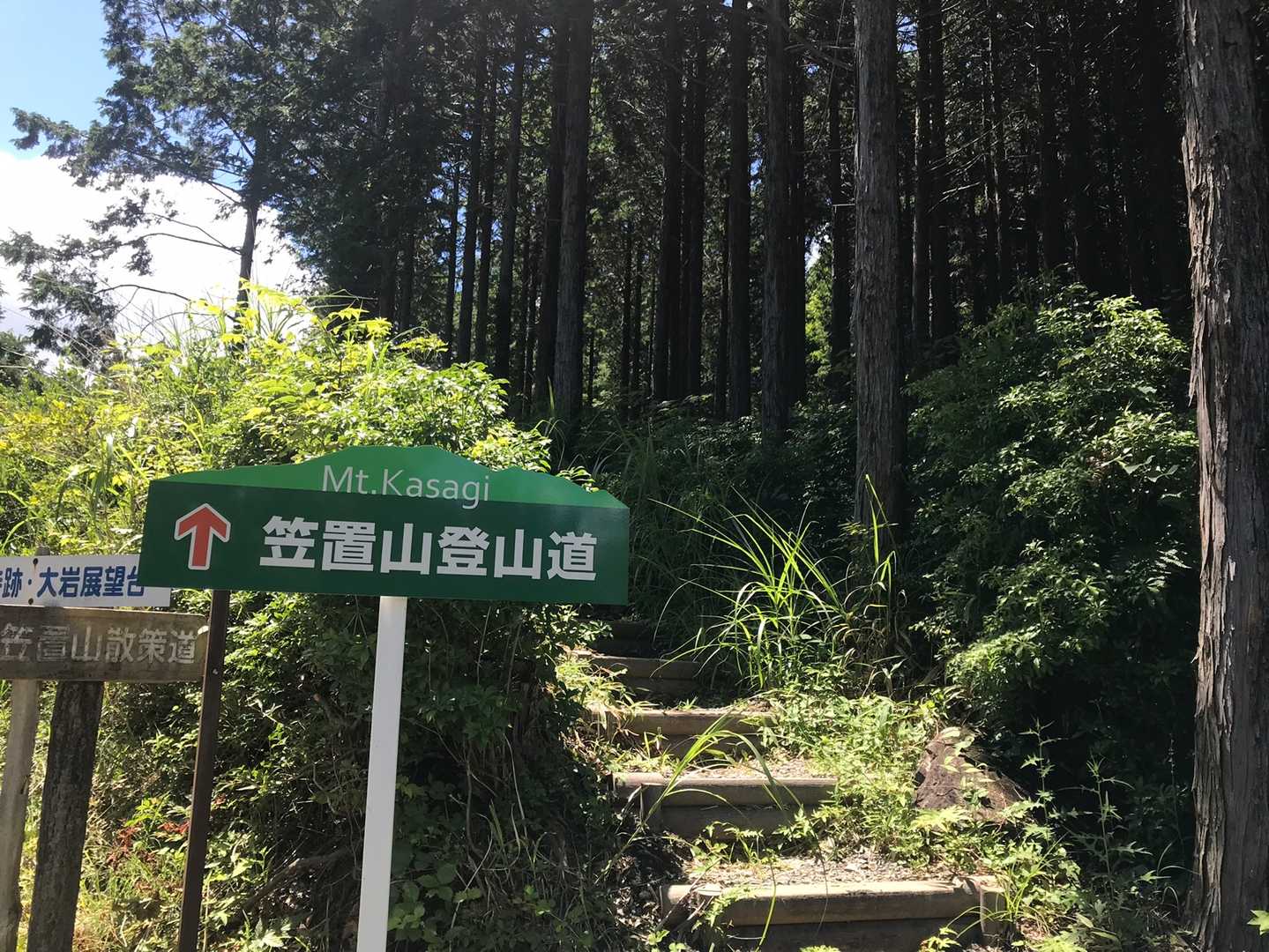 暑い💦