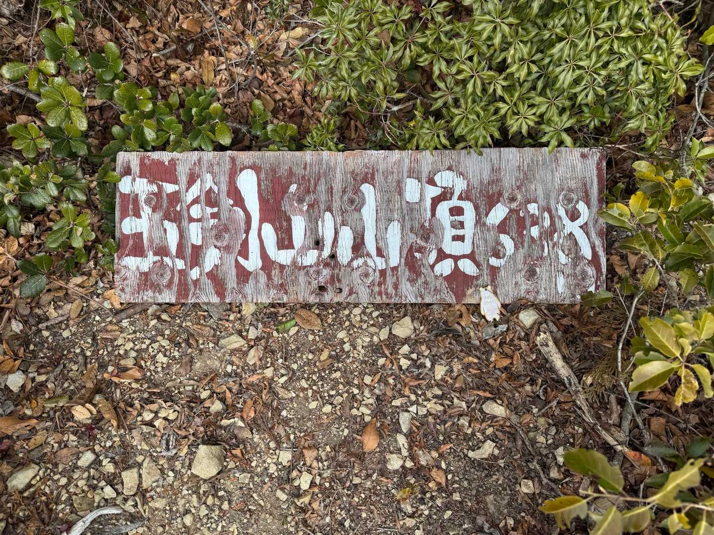 鬼ヶ岩屋-五剣山 周回コースの写真