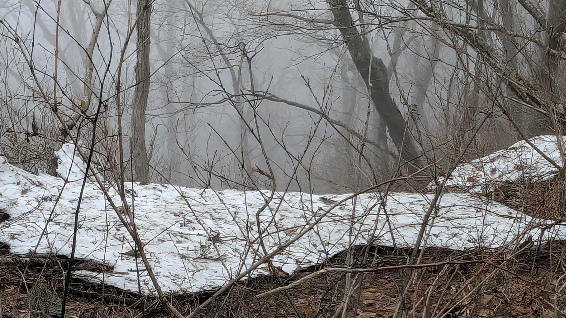 残雪が。