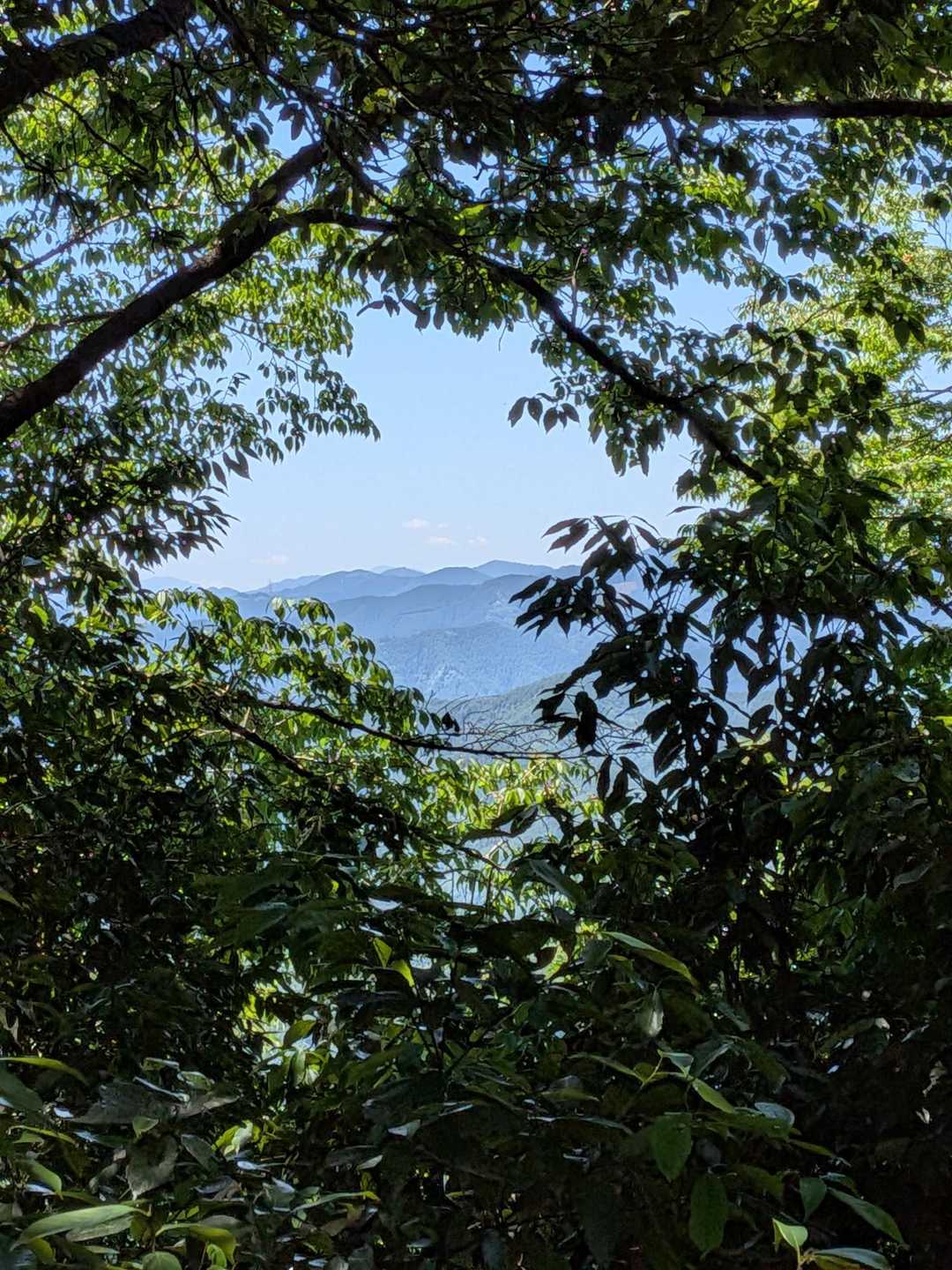 このコースでは貴重な景観
