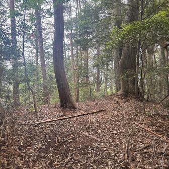 飯森山！
近くの山と字が違うね。