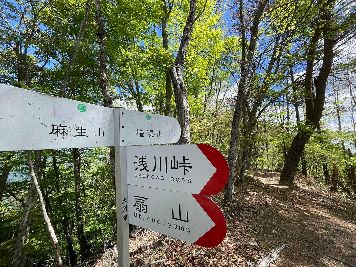 山頂に着いた！と思ったら未だだった💦
（右手に少し登ったら山頂⛰️）

ここで麻生山方面に行く方とスライド
麻生山の先にある三ツ森北峰の山頂にある鏡🪞が気になってます🪞