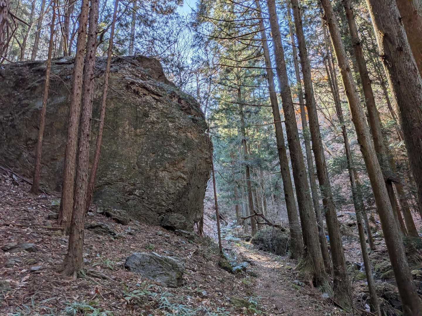 デカ岩🗿