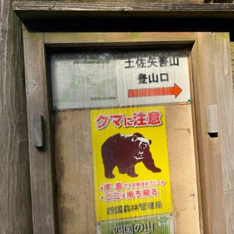 クマいるかなぁ