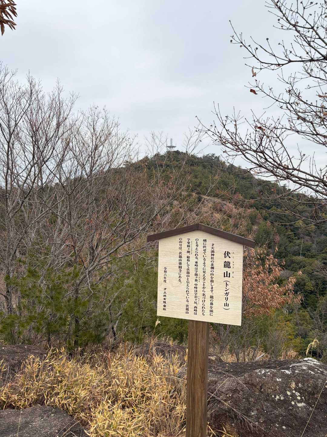 京見山-トンガリ山 往復コースの写真