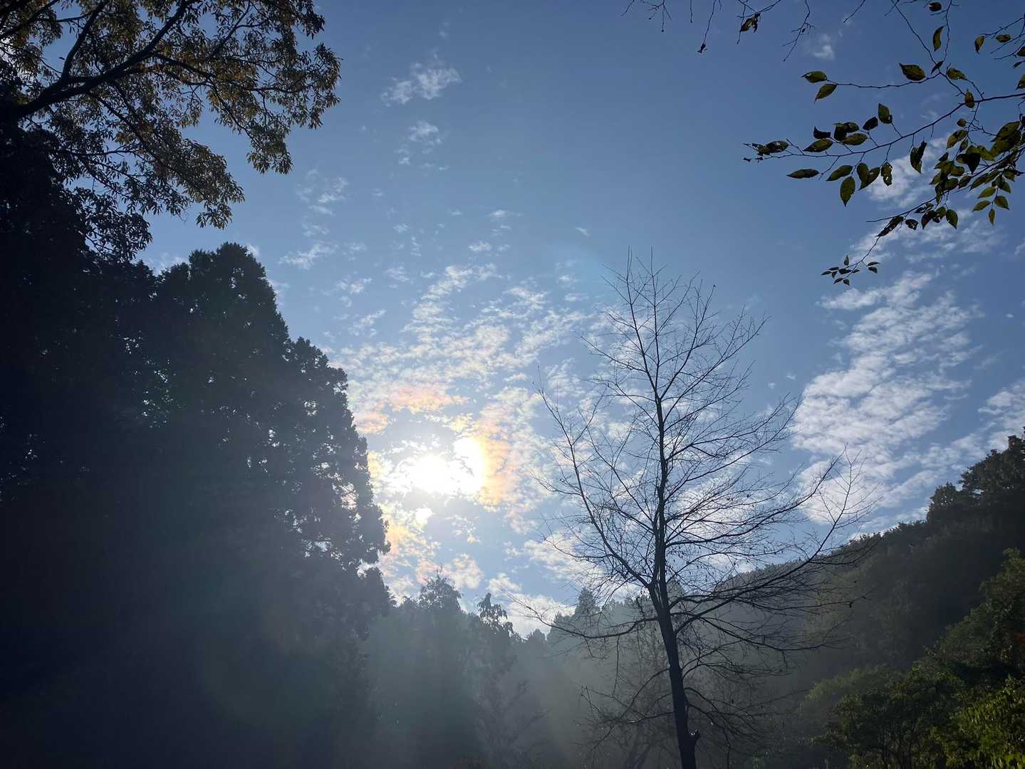 御嶽山登山口-御嶽山 往復コースの写真