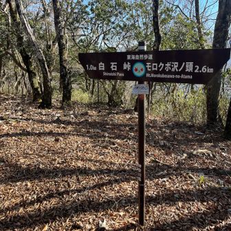 ナメクラ沢ノ……あれ？ピークを1つ見落とした？