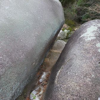 さっきより狭い！