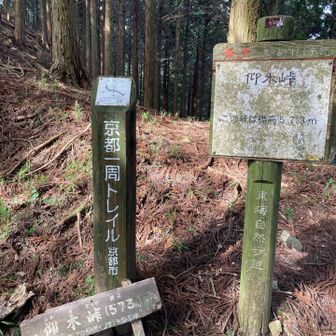 仰木峠🙌
