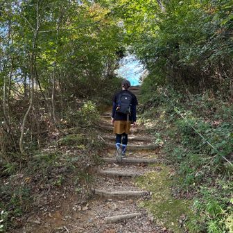 木のトンネルを越えると〜🌲
山頂٩(ˊᗜˋ*)و ﾔｯﾀｰ