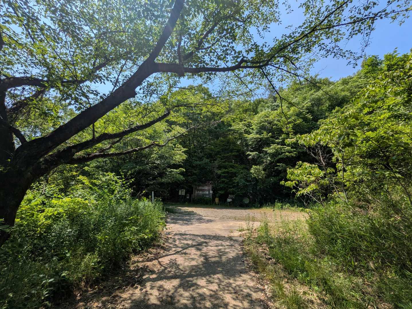 今日も無事に楽しく歩けました♪