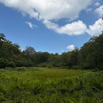 余談。。🌸

ただ花を楽しむだけ。それに男も女もない。
それだけなのに男女2人で行くのはそんなに悪いことなのだろうか？
お互いに花が好き。たったそれだけ。
それ以外の感情は皆無。

山や野に出て珍しい花を探し、写真を撮ってその美しさを共有する——それ以上でもそれ以下でもない純粋なボタニカルな探求心や趣味の世界に没頭しているだけ。その相手が同性であり時には異性だったりするが友達以外の何者でもない。
そこに他の感情はない。

きっと他のお友達もそれだけの関係。
それを勝手に下世話な恋愛フィルターで歪めて見られるのはほんと勝手で失礼だと思う。

この健全で真っ直ぐな思いに、何一つ恥じる点はないのではないか？
花の世界を知らない人間の、勝手な思い込みに付き合って傷つく必要はない。

そう思ってもなにか勘繰られると傷つくね。。