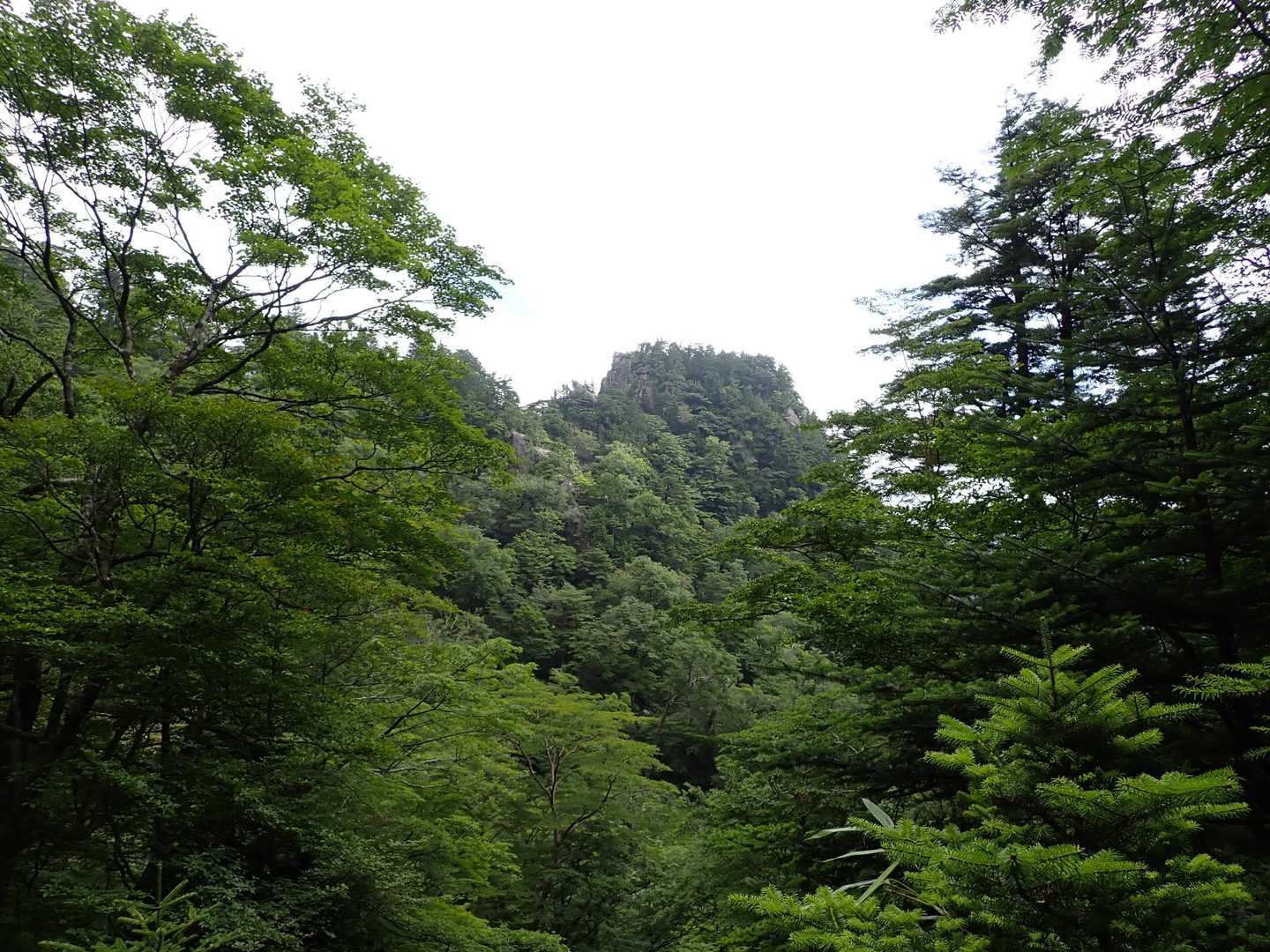 あれが大日岳かな
