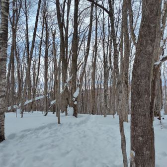 山頂からの眺望