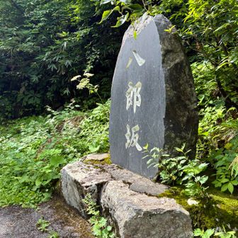 いよいよ八郎坂。
唯一と言えるトレイル区間で待ちに待ったご褒美ゾーンです。