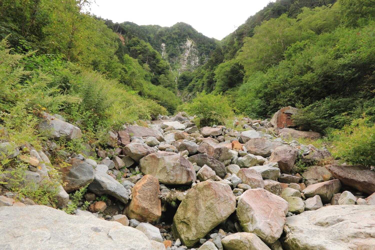 チビ谷。
涸れ沢だけど、すずしいのでひと休み。
